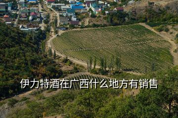 伊力特酒在廣西什么地方有銷(xiāo)售