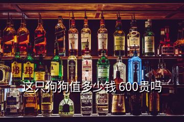 這只狗狗值多少錢(qián) 600貴嗎