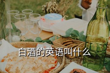 白酒的英語(yǔ)叫什么