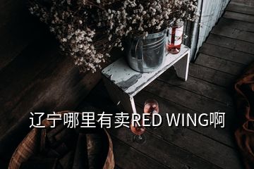 遼寧哪里有賣(mài)RED WING啊