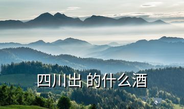 四川出 的什么酒