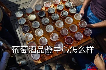 葡萄酒品鑒中心怎么樣