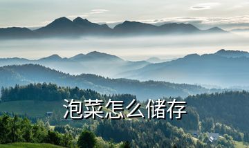 泡菜怎么儲(chǔ)存