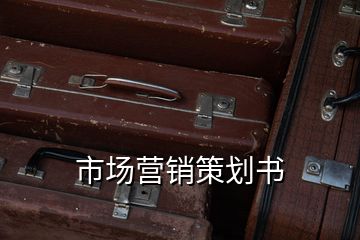 市場營銷策劃書