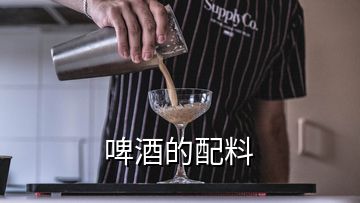 啤酒的配料