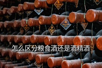 怎么區(qū)分糧食酒還是酒精酒