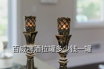 百威啤酒拉罐多少錢一罐