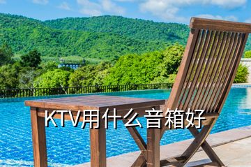 KTV用什么音箱好