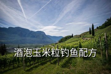酒泡玉米粒釣魚(yú)配方
