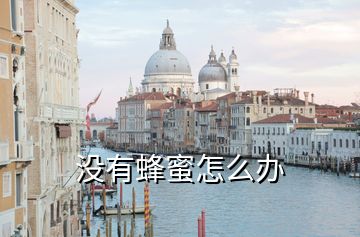 沒(méi)有蜂蜜怎么辦