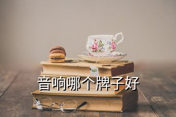 音響哪個牌子好