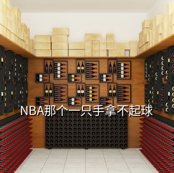 NBA那個(gè)一只手拿不起球