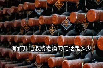 有誰(shuí)知道收購(gòu)老酒的電話是多少