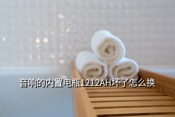 音響的內(nèi)置電瓶1212AH壞了怎么換