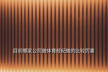 目前哪家公司做體育經(jīng)紀(jì)做的比較厲害