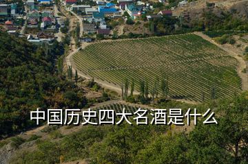 中國(guó)歷史四大名酒是什么