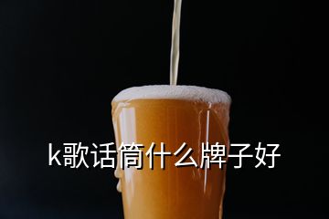 k歌話筒什么牌子好