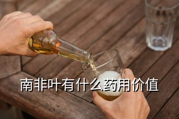 南非葉有什么藥用價(jià)值