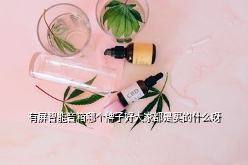 有屏智能音箱哪個牌子好大家都是買的什么呀