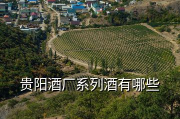 貴陽(yáng)酒廠系列酒有哪些