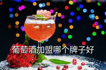 葡萄酒加盟哪個(gè)牌子好