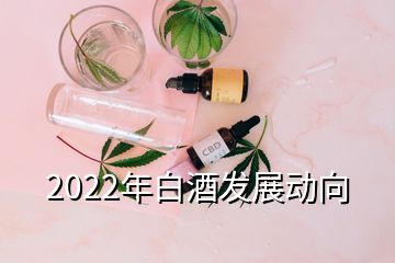 2022年白酒發(fā)展動(dòng)向