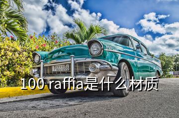 100 raffia是什么材質(zhì)