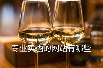 專業(yè)賣酒的網站有哪些