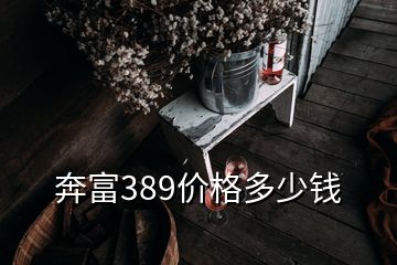 奔富389價格多少錢