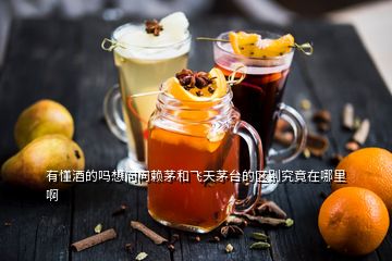 有懂酒的嗎想問(wèn)問(wèn)賴茅和飛天茅臺(tái)的區(qū)別究竟在哪里啊