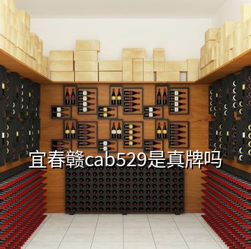 宜春贛cab529是真牌嗎