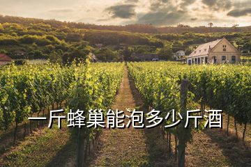 一斤蜂巢能泡多少斤酒