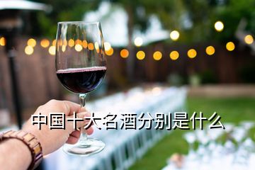 中國(guó)十大名酒分別是什么