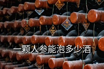 一顆人參能泡多少酒