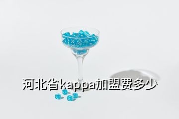 河北省kappa加盟費多少