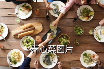 養(yǎng)心菜圖片