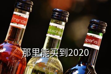 那里能買到2020