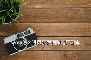 wow怎么進(jìn)風(fēng)暴烈酒釀造廠副本