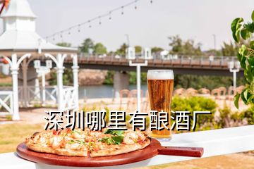 深圳哪里有釀酒廠