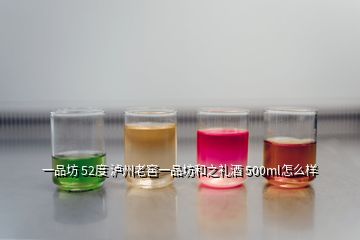 一品坊 52度 瀘州老窖一品坊和之禮酒 500ml怎么樣