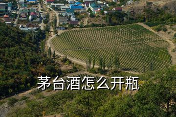 茅臺(tái)酒怎么開(kāi)瓶
