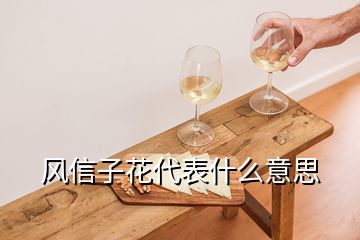 風(fēng)信子花代表什么意思