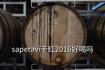 saperavi干紅2016好喝嗎