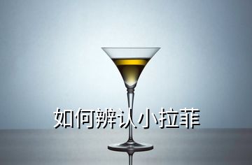 如何辨認小拉菲