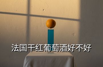 法國(guó)干紅葡萄酒好不好