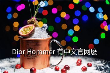 Dior Hommer 有中文官網麼