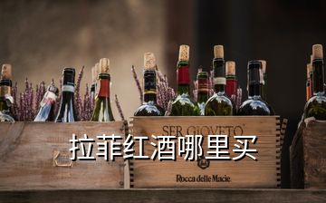 拉菲紅酒哪里買(mǎi)