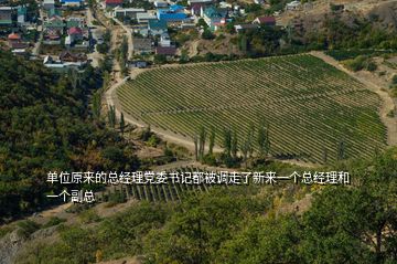 單位原來的總經(jīng)理黨委書記都被調(diào)走了新來一個(gè)總經(jīng)理和一個(gè)副總