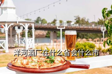 洋河酒廠在什么省會什么市