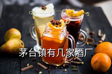 茅臺(tái)鎮(zhèn)有幾家酒廠(chǎng)